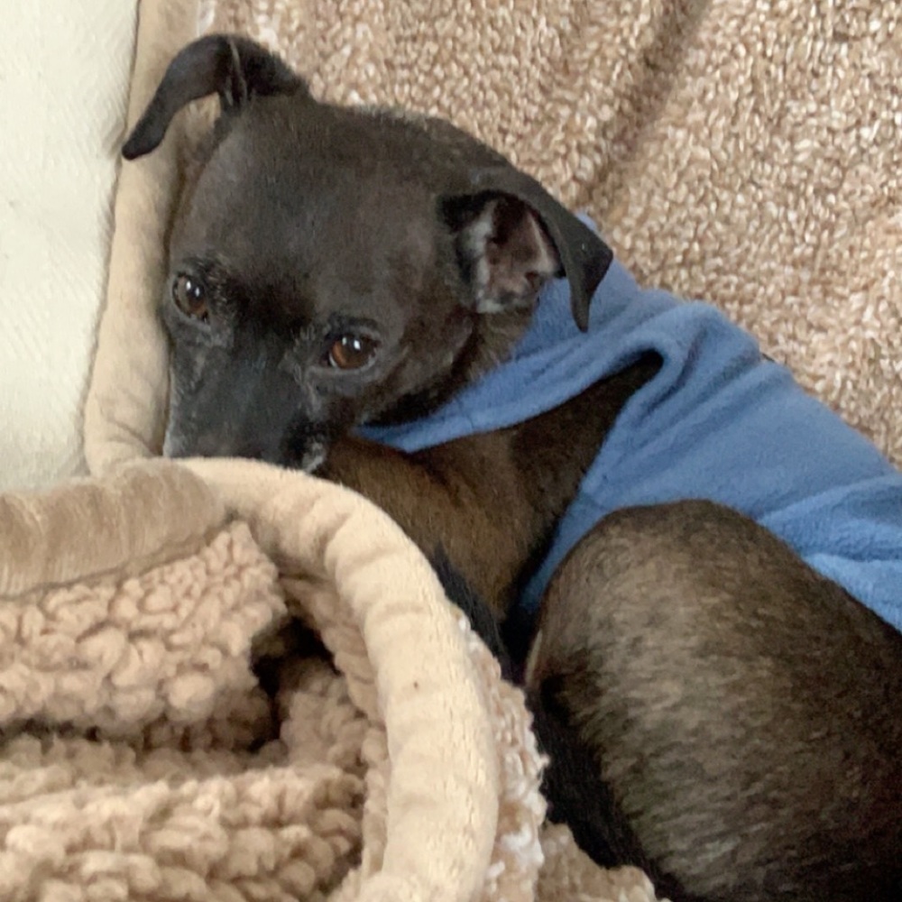 Meet your Posher, Julie